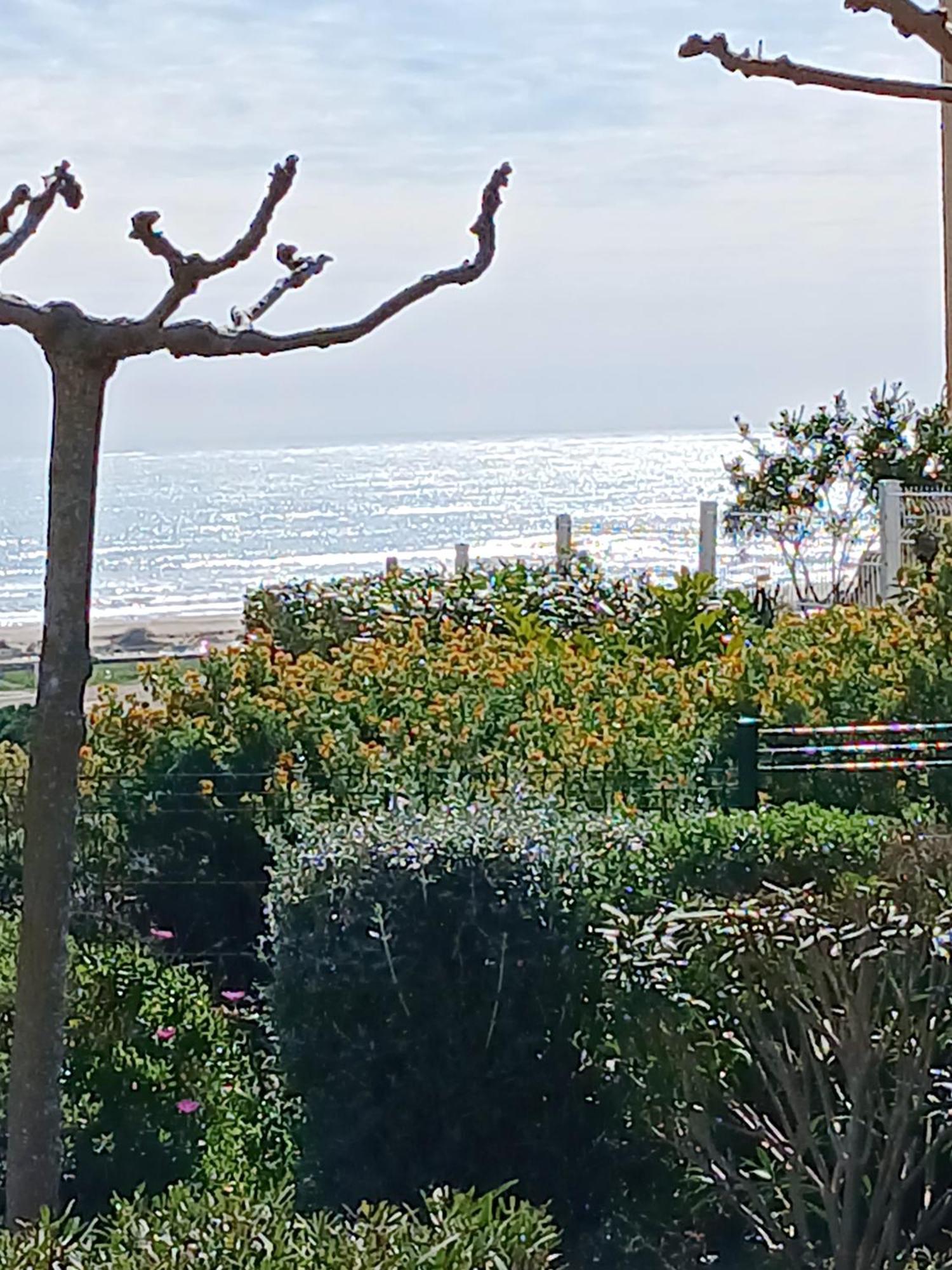 Plain-Pied Jardin 6 Personnes Clim Vue Mer Parking Wifi Terrasse Piscine Dans La Residence Saint-Pierre-la-Mer  Exterior photo